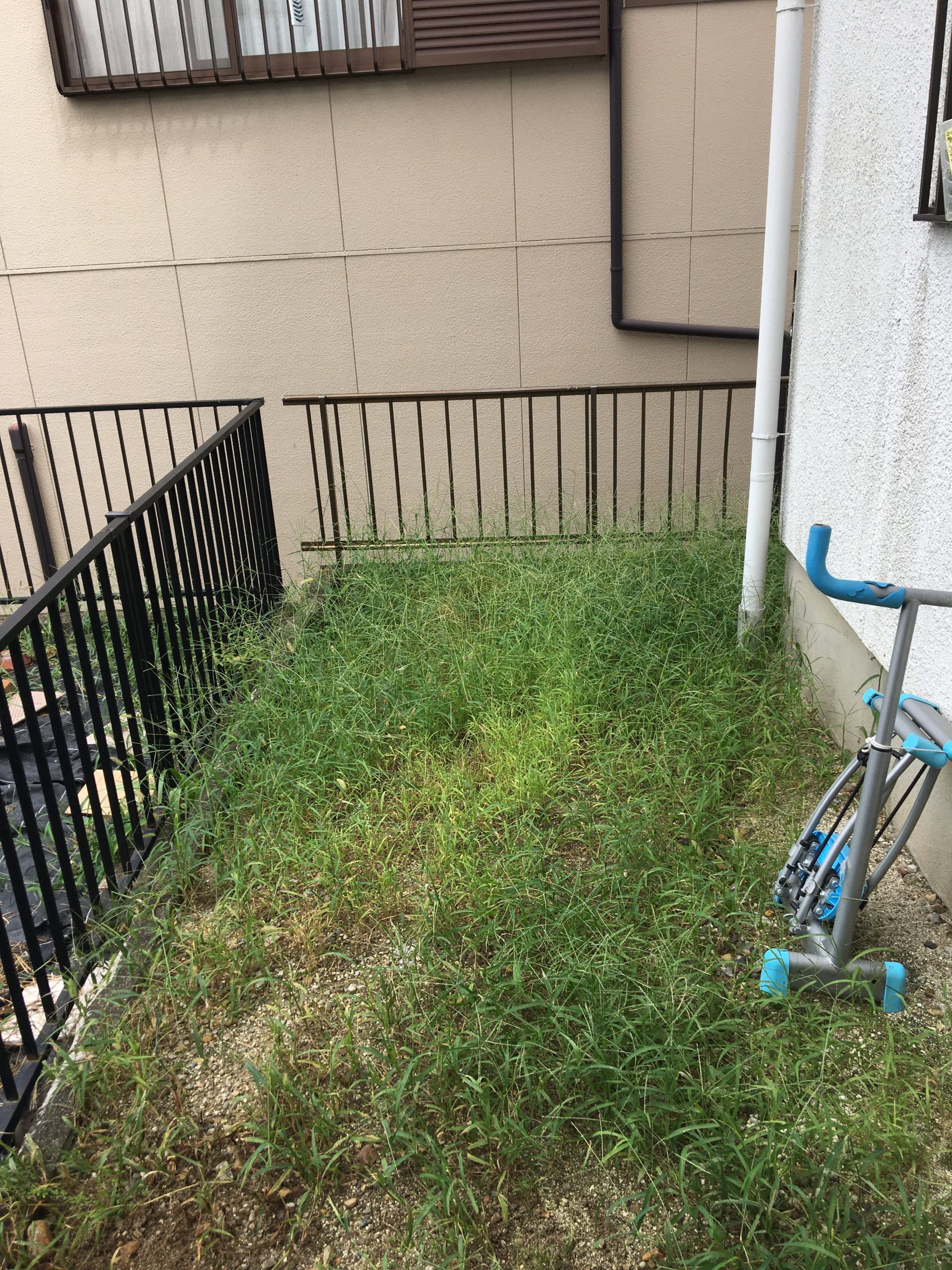 愛知県名古屋市天白区　草刈り・ハウスクリーニング（便利屋・生活サポート）