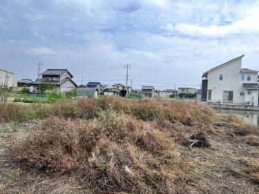 愛知県一宮市での草刈り作業事例｜草刈り業者・草回収・防草シート施工ならgreen