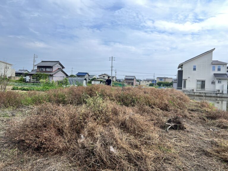 愛知県一宮市 草刈り 作業前