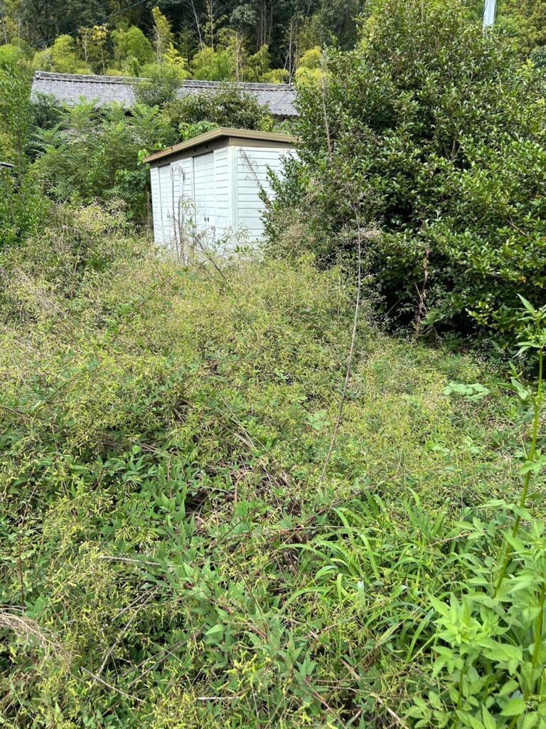 岐阜市で庭の雑草が繁茂した草刈り作業前の様子