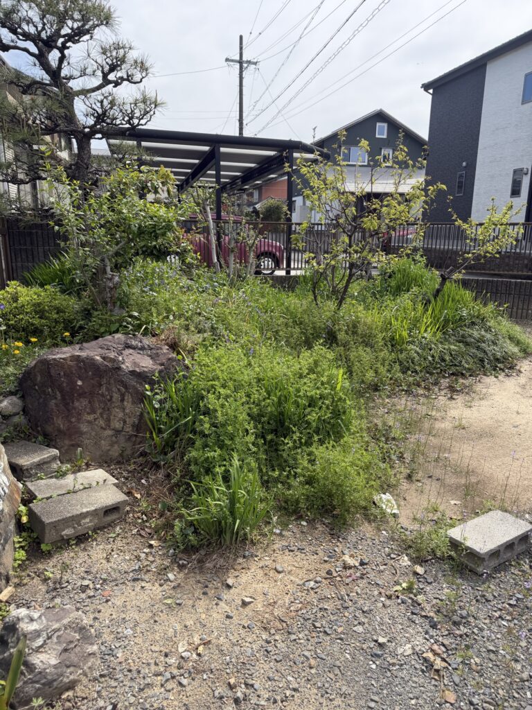 岐阜県美濃市 草刈り 作業前 庭