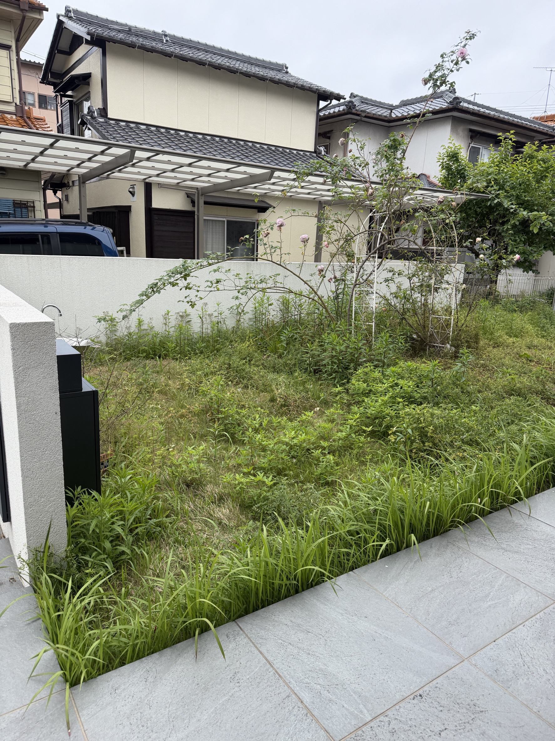 愛知県一宮市の庭草刈り前
