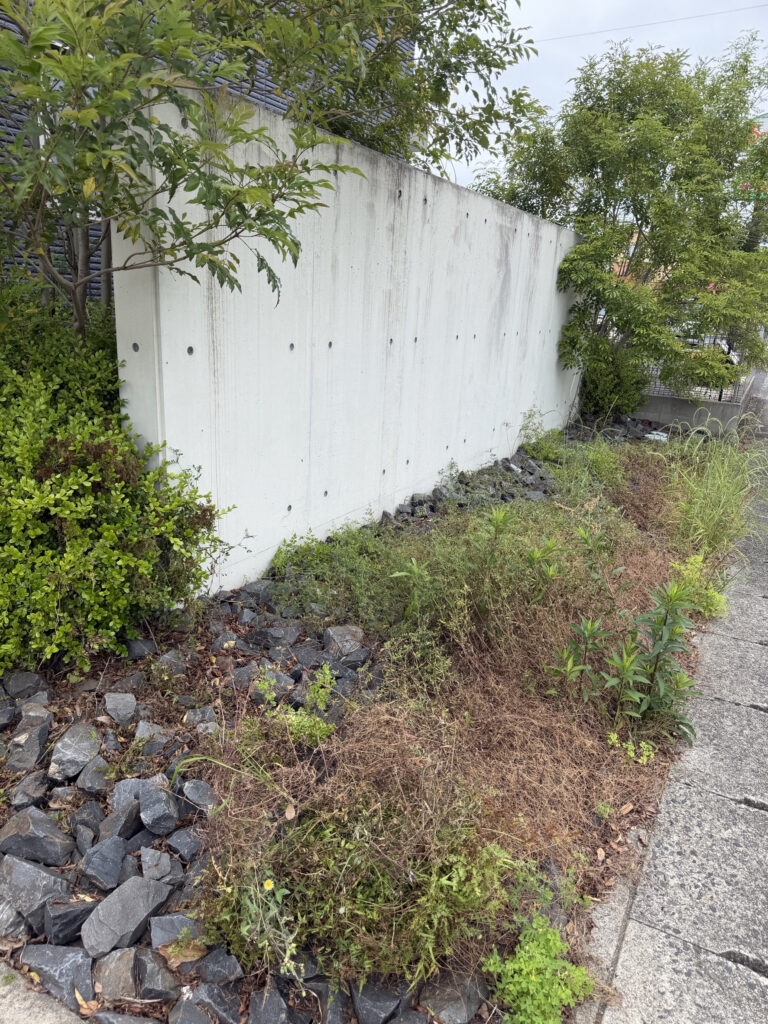 愛知県一宮市での家の周りの草刈り 作業前